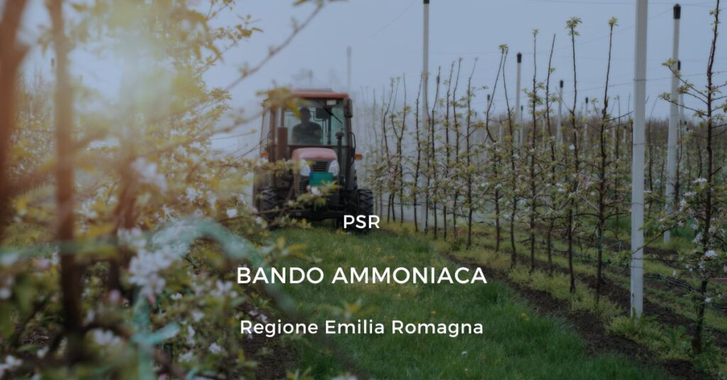 Template PSR LINKEDIN